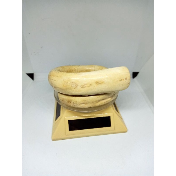 akar Bahar putih size babon