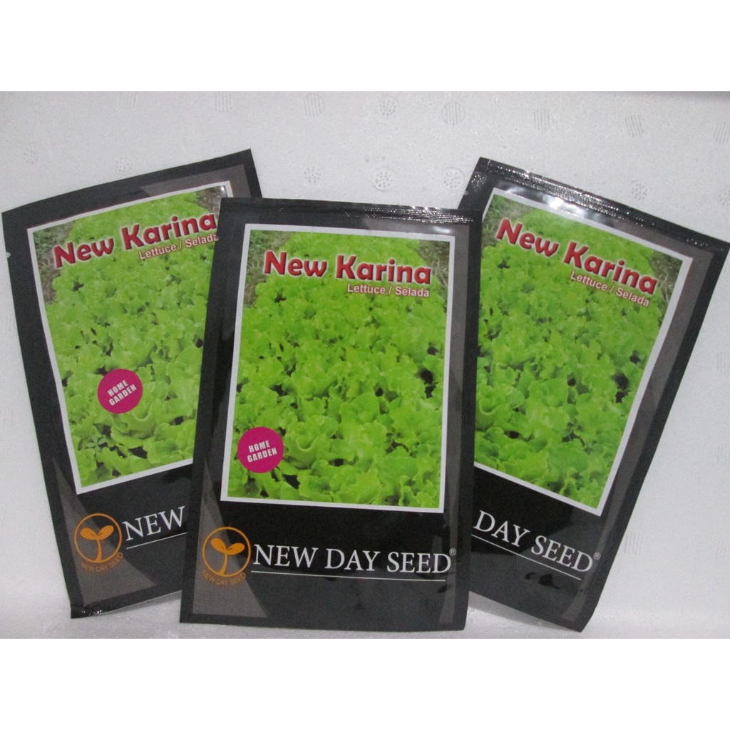 Benih Selada Keriting Hijau - New Karina - New Day Seed - 2gr