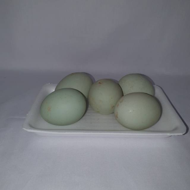 

Telur bebek