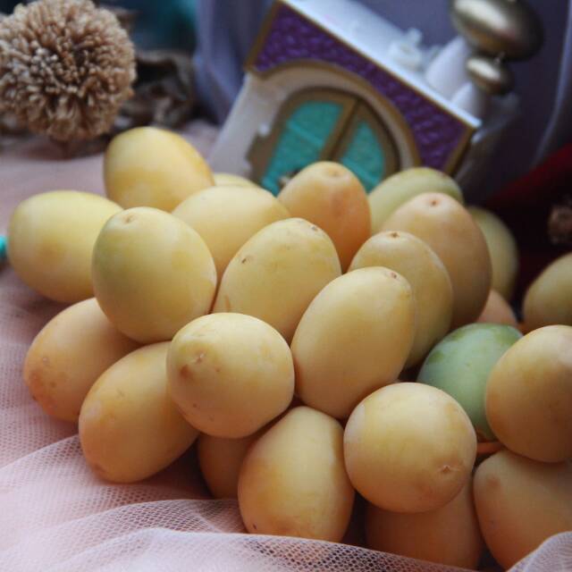 

BARHEE NAMIBIA FREE Zuriat Murah berkualitas 250gram (promil)