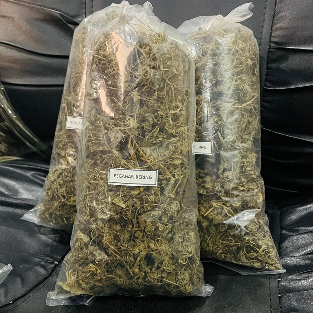 

KUKURING Daun Pegagan | Antanan | Begagan Kering