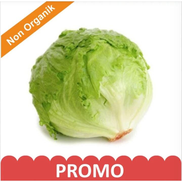 

PROMO Lettuce Head / Pcs