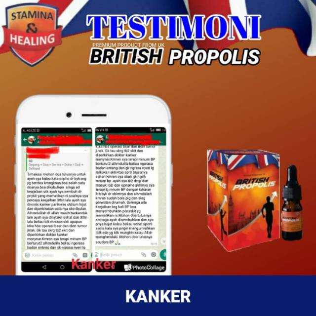 Obat Kista Kanker Obat Herbal British Propolis Shopee Indonesia