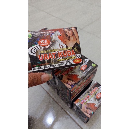urat kuda kapsul asli