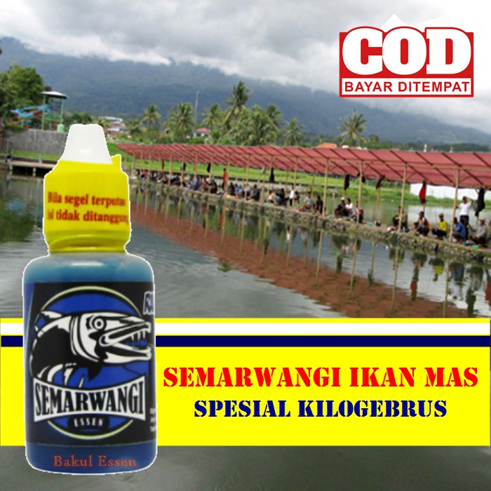 Essen Ikan Mas Kilo Gebrus - Harian 100% Neter