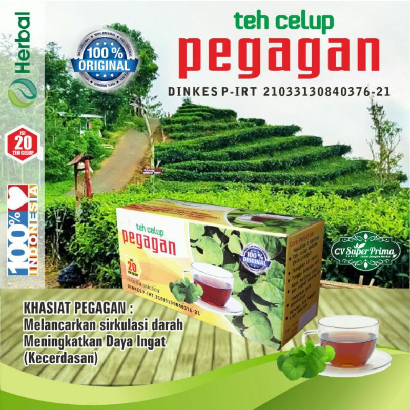 TEH CELUP HERBAL PEGAGAN  MENINGKATKAN DAYA INGAT/MENIGKATKAN KECERDASAN OTAK/NUTRISI OTAK (PEGAGAN)