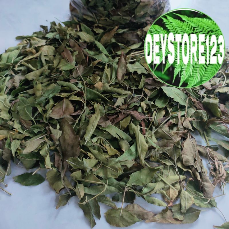 

300 Grm Daun mindi kering asli murni