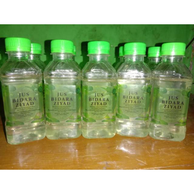 

Jus Bidara Ziyad