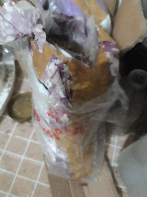 Media Tanam Kaktus/sukulen