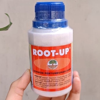 Root up 100 gr - pupuk akar root up