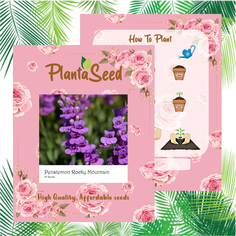 PlantaSeed - 50 Seeds - Penstemon Rocky Mountain Biji Bunga - PAS0208