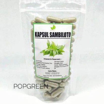 Kapsul Sambiloto Isi 100 Kapsul