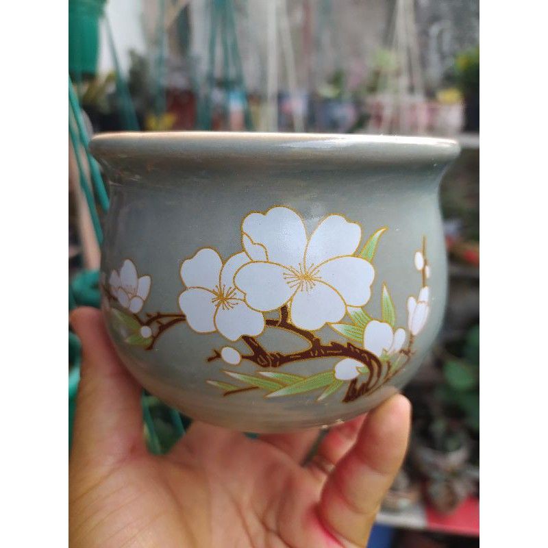 Pot bunga succulent kaktus keramik import diameter besar