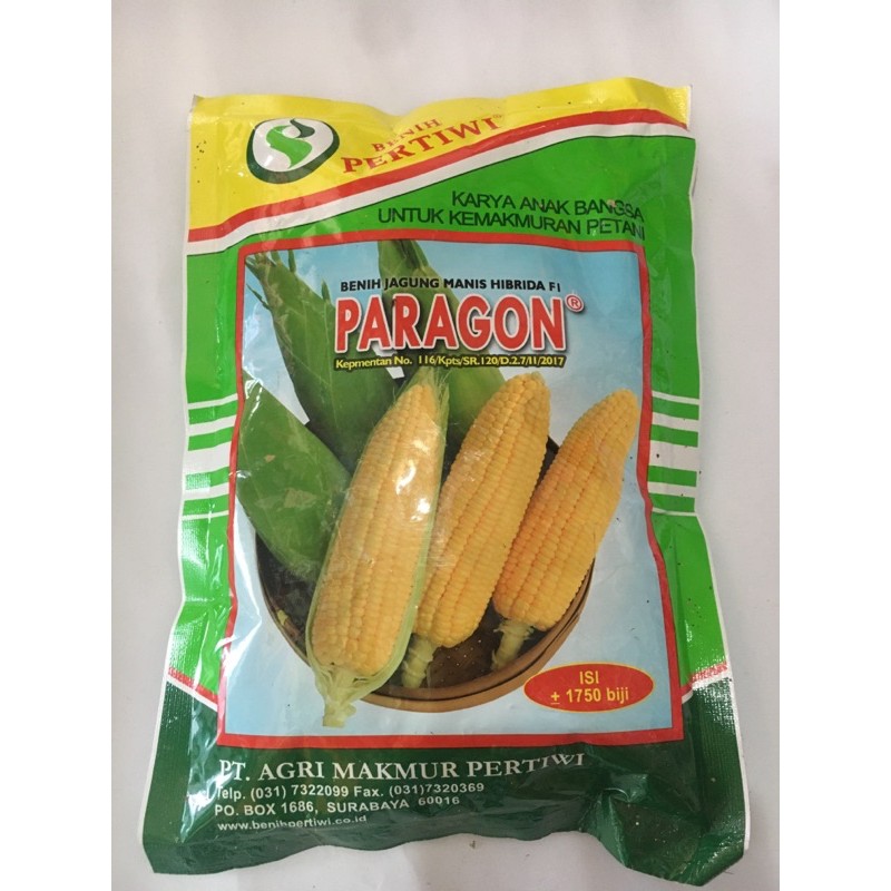 Benih jagung manis PARAGON / PERTIWI