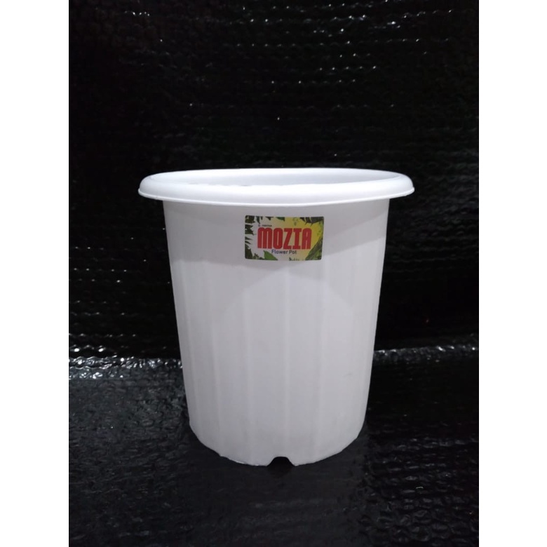 Pot Mozia 15 Putih Pot Putih Pot 15 Pot Tinggi