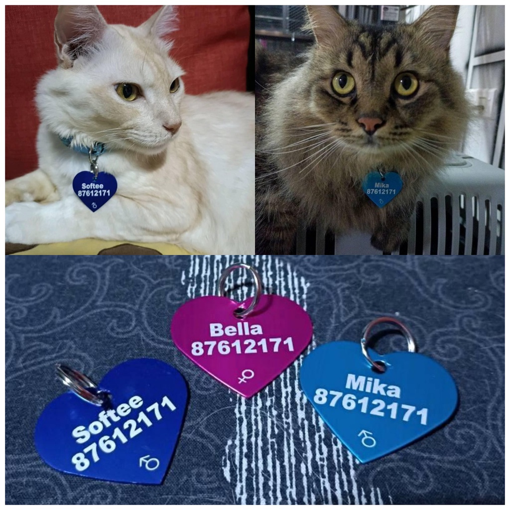 1pc / lot Label Nama / Alamat Motif Ukiran Untuk Anjing / Kucing