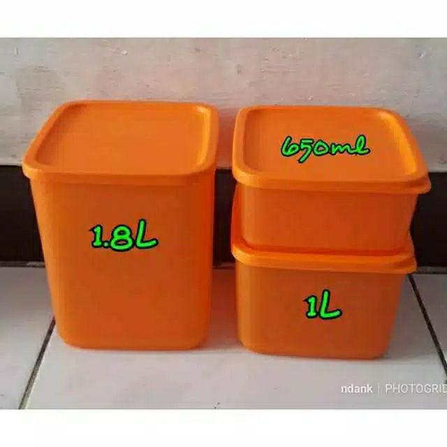 ( 3 Pcs ) Summer Fun - Tropical Fiesta - Pop Fiesta Warna Sama ( Tempay Makan ) Tupwr