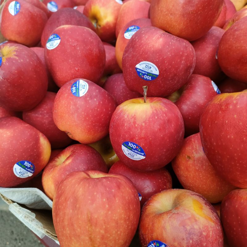 buah apel 1kg fuji pasifik rose new Zealand 1 KG premium