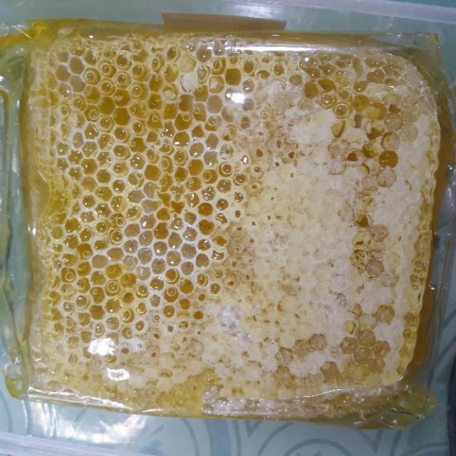 

MADU SARANG ASLI PERBOX 500 GRAM