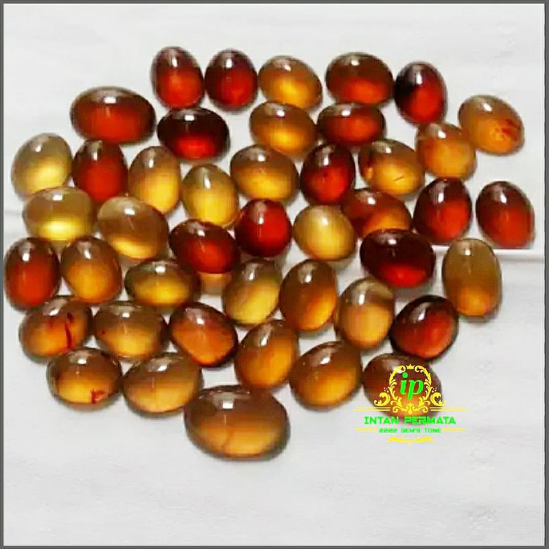 batu getah katilayu natural bergiwang cocok untuk mancing mania