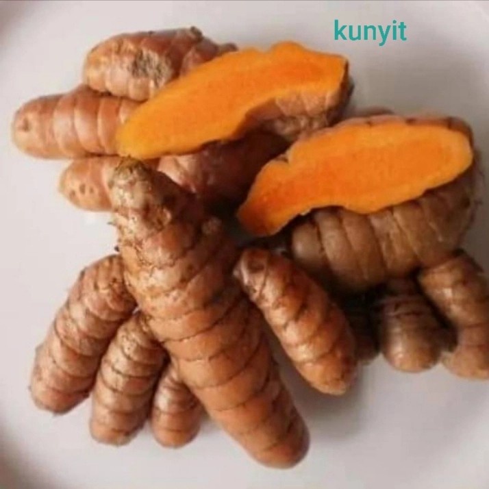 

Kunyit / Kunir / Koneng / Kunyit Kuning fresh Alami 500 gram FRESH