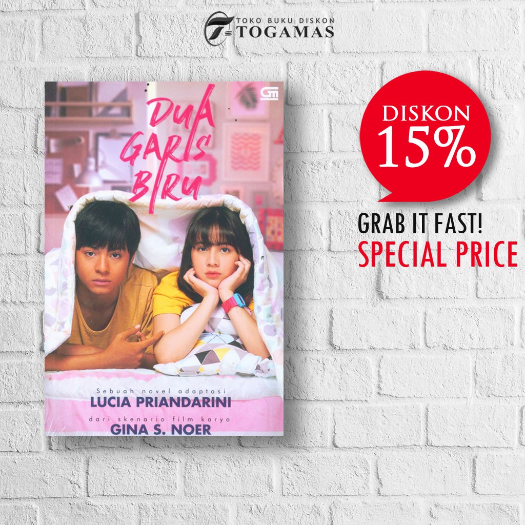 Buku Dua Garis Biru Lucia Priandarini Gina S Noer Ori Shopee Indonesia