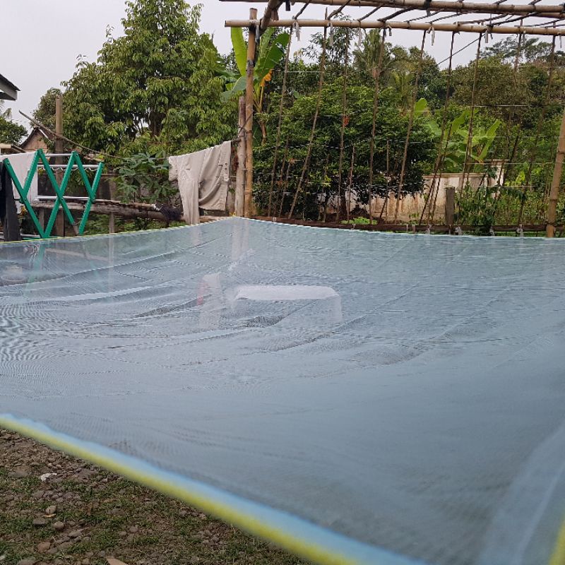 jaring anco wader burayak ikan kecil bahan kassa kelambu