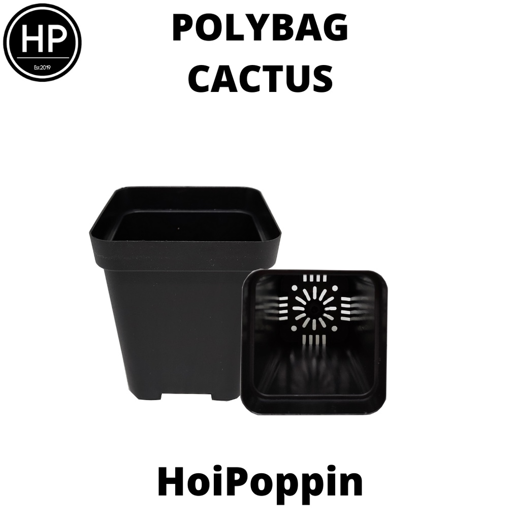 HPP - Polybag (Hitam) - cactus polybag - pot cactus - pot elastis - pot dan tatakan - pot - pot hias