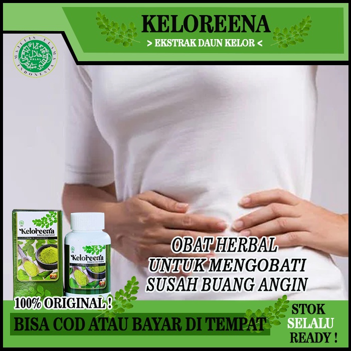 Obat Untuk Susah Buang Angin, Obat Perut Kembung Susah Kentut, Obat Susah Kentut dan Bab, Obat Herba