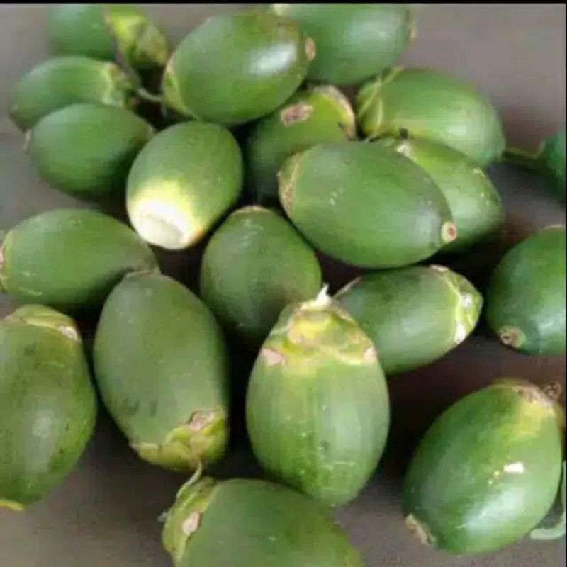 

buah pinang fresh segar