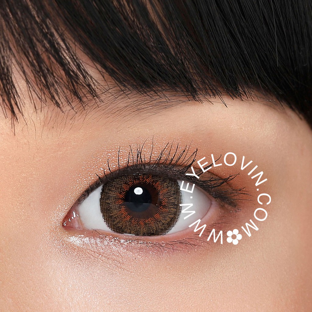 Softlens AW Beauty - French 3tones Brown