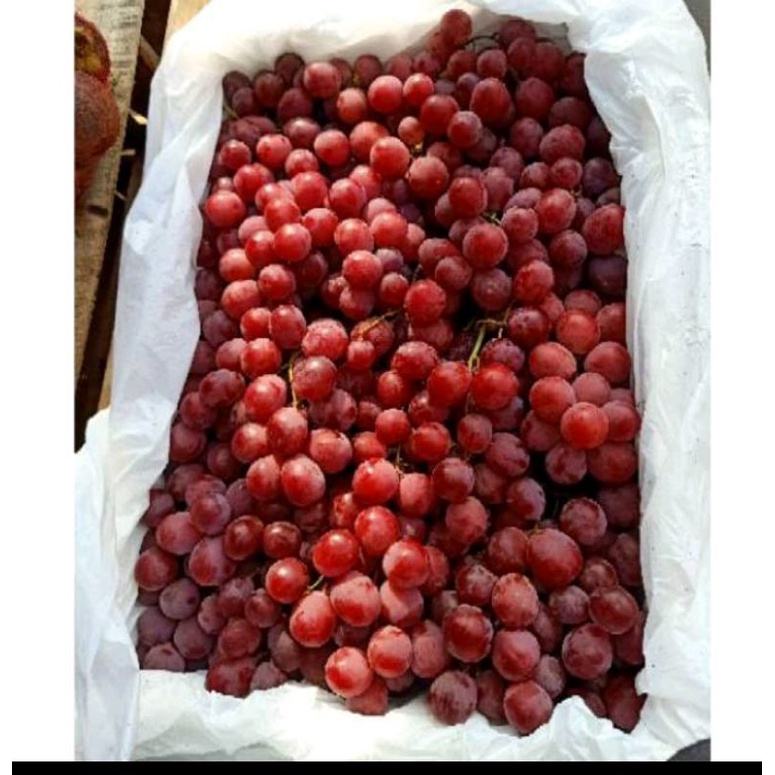 

ANGGUR MERAH 1 KERANJANG/9kg