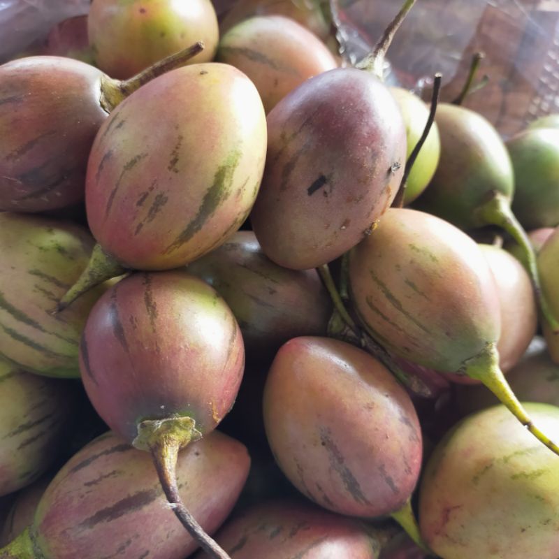 

Terong Belanda segar 1 kg