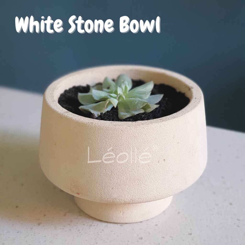 Leolle Pot Tanaman Hias Unik Batu White Stone