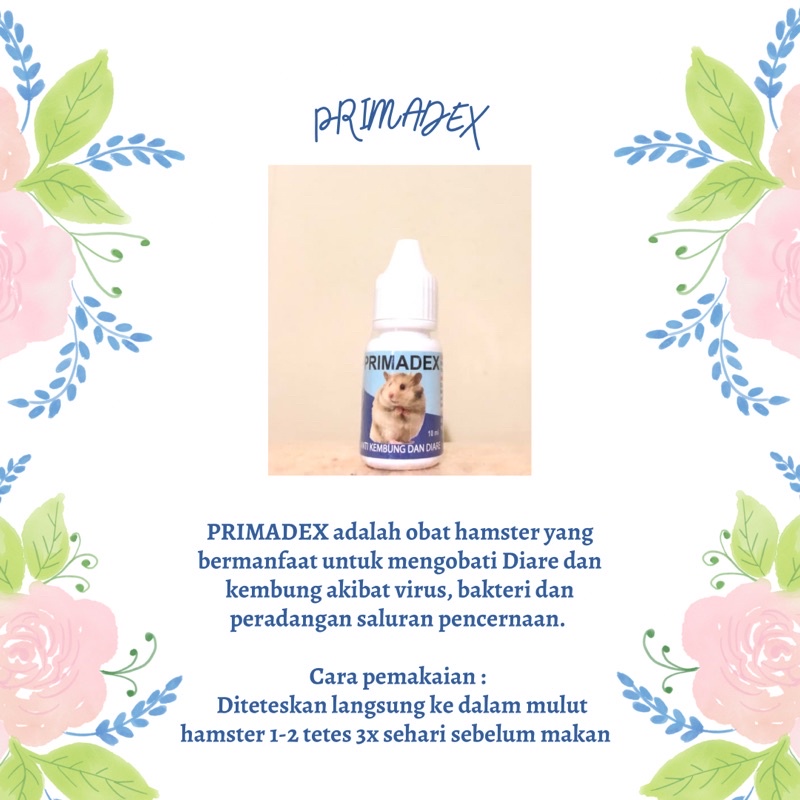 PRIMADEX (Obat Diare dan Kembung Hamster)