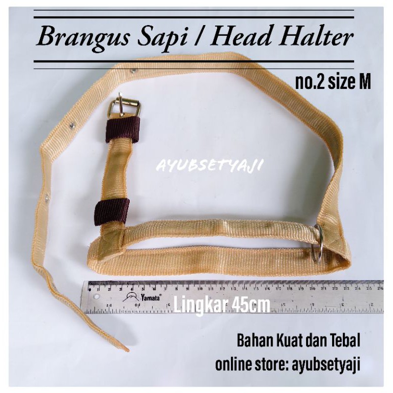 Brangus Sapi Head Halter size M sapi kambing kuda Tali ikat kepala tali tuntun kalung lonceng sapi