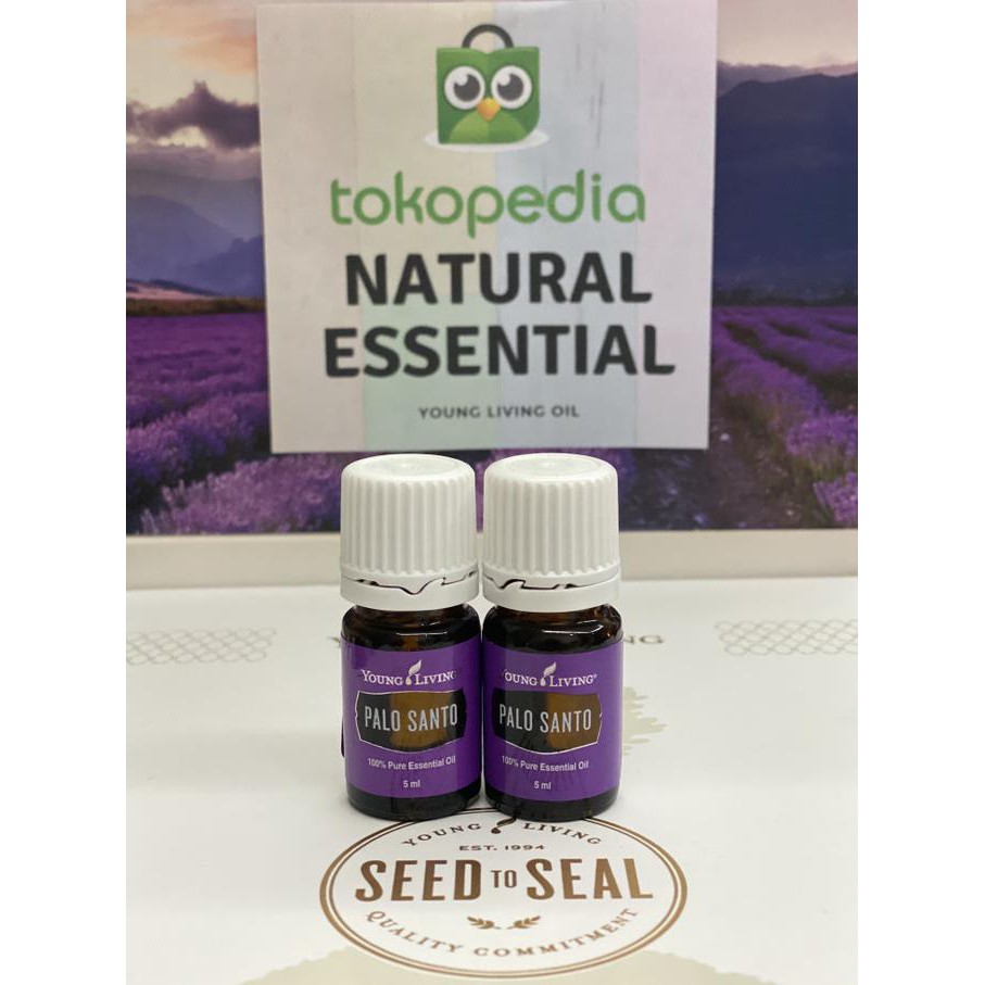 Palo Santo Young Living Nandaputriah