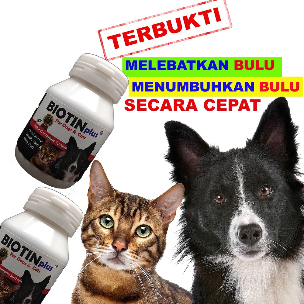 BIOTINplus VITAMIN BULU KUCING ANJING CAT DOG PENUMBUH BULU RONTOK OBAT PENYAKIT KULIT ANTI RONTOK