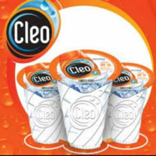 

air mineral cleo gelas 250ml isi 40