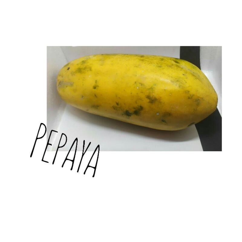 pepaya 1kg-1.2kg