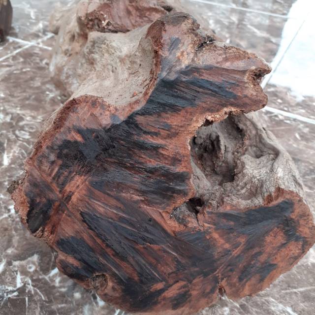 

Bahan mentah kayu setiqi 1.kg