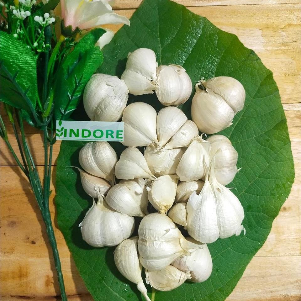 

BAWANG PUTIH / BAWANG KANTING SUPER KERING ALAMI