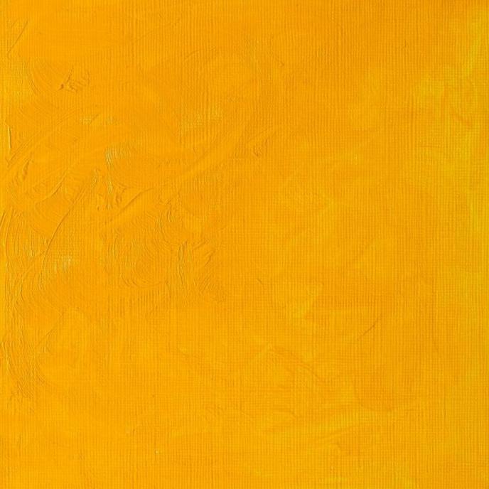 

WINTON OIL COLOUR 37 ML WINSOR & NEWTON SERIES 2 CADMIUM YELLOW MEDIUM