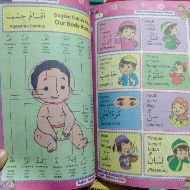 Kamus Global Bergambar 3 Bahasa Inggris - Indonesia - Arab