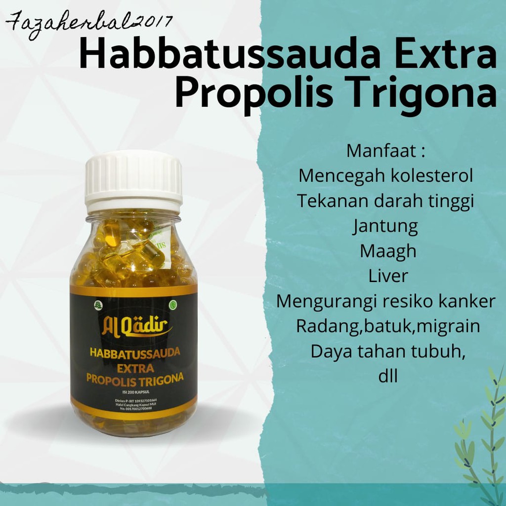 Habbatussauda Extra Propolis Trigona 200 Kapsul