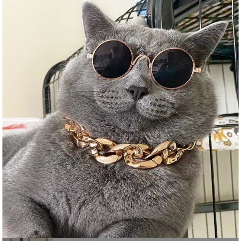 Kalung Rantai Kucing Anjing Gold Silver