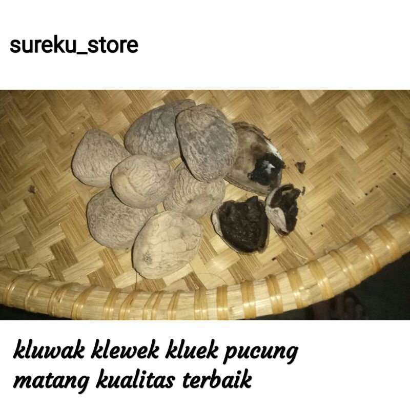 

kluwek klewek pucung matang