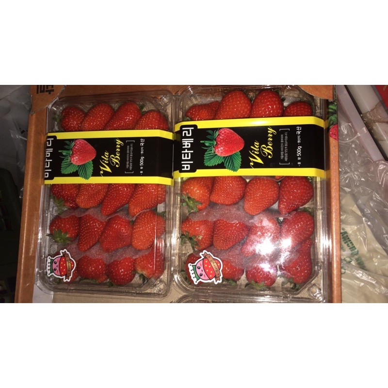 

Strawberry Korea Import Kualitas No 1
