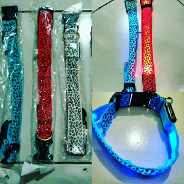 COLLAR / KALUNG LED MOTIF