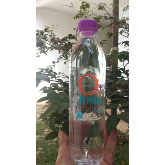

Qplus minuman kesehatan harga perdus Rp. 240.000/dus isi 24 botol x 450 ml